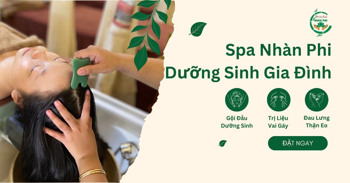 Dưỡng Sinh Phước Bửu